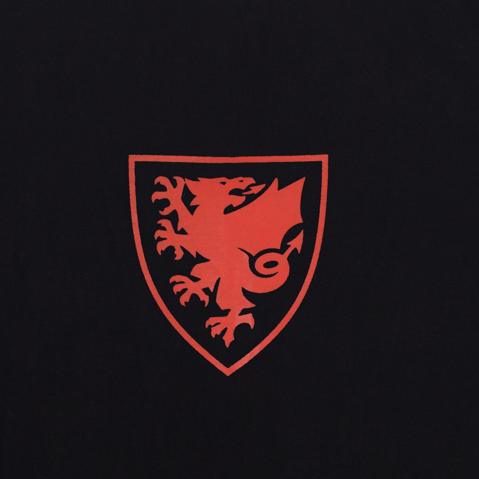 Wales adults graphic T-shirt in black with large national crest print to front.