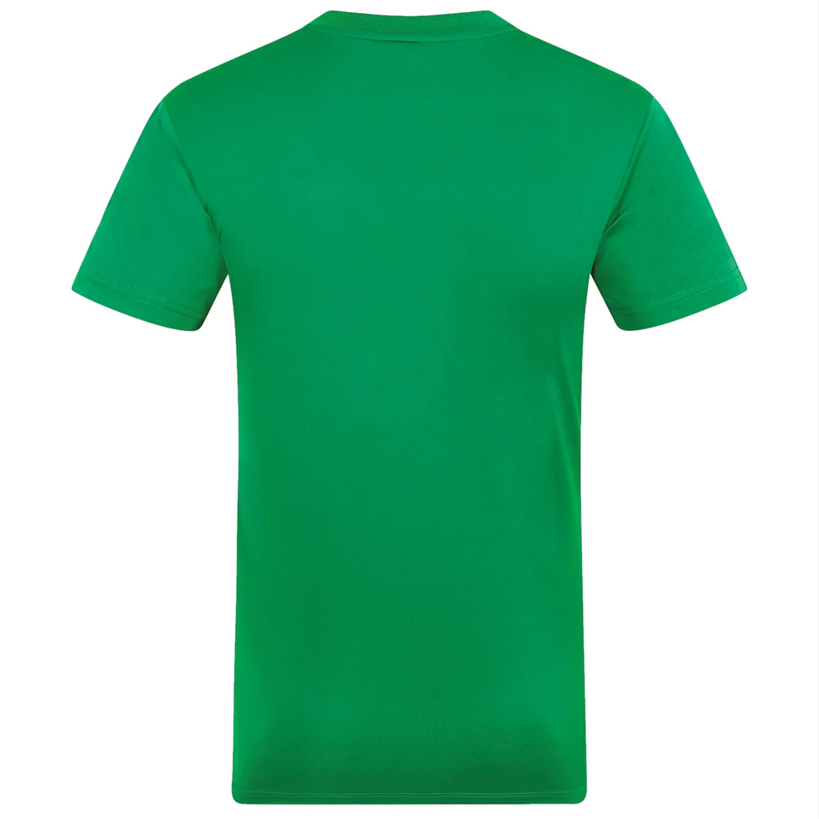 Northern Ireland adults T-shirt in green with national crest to chest.