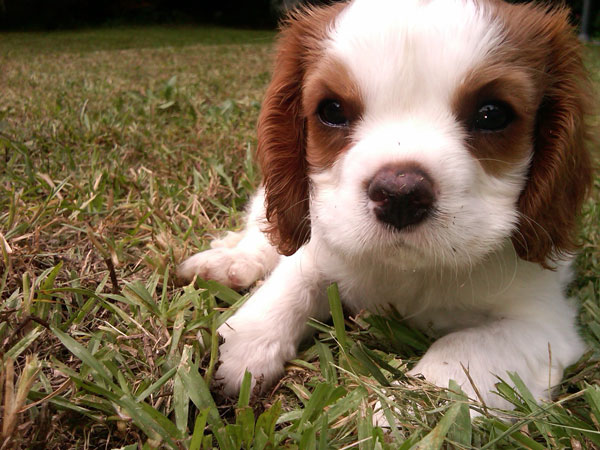 Photo taken with the BlackBerry Storm 2