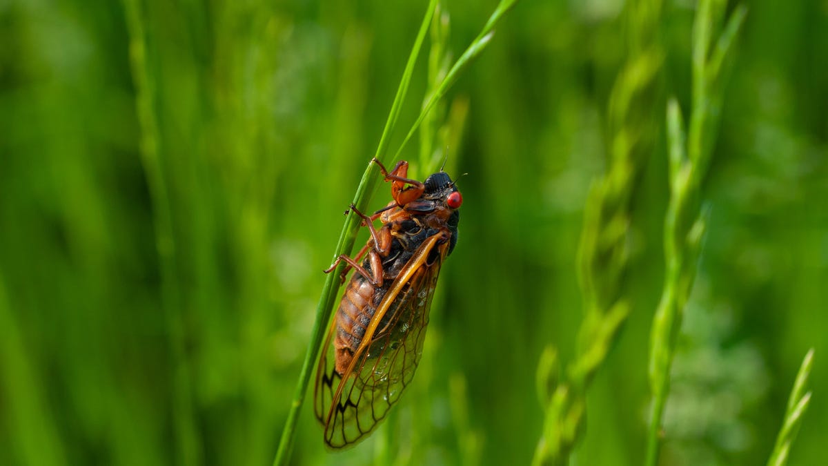 gettyimages-1240009581