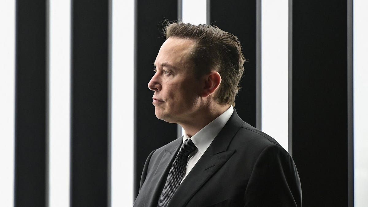 Elon Musk is shown in profile against a backdrop of vertical black-and-white lines.