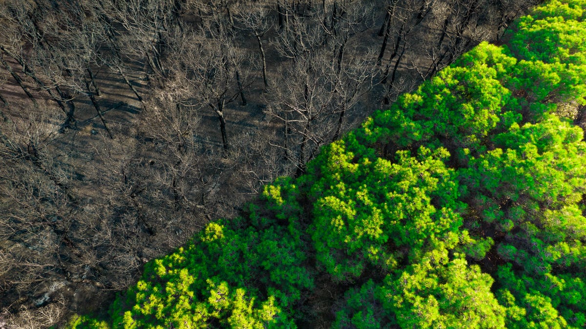 gettyimages-1329169823