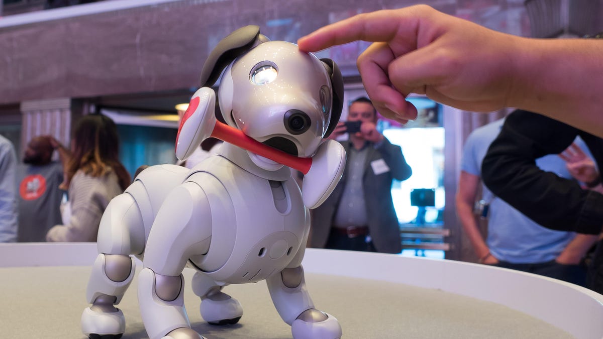 Sony Aibo Robot Dog