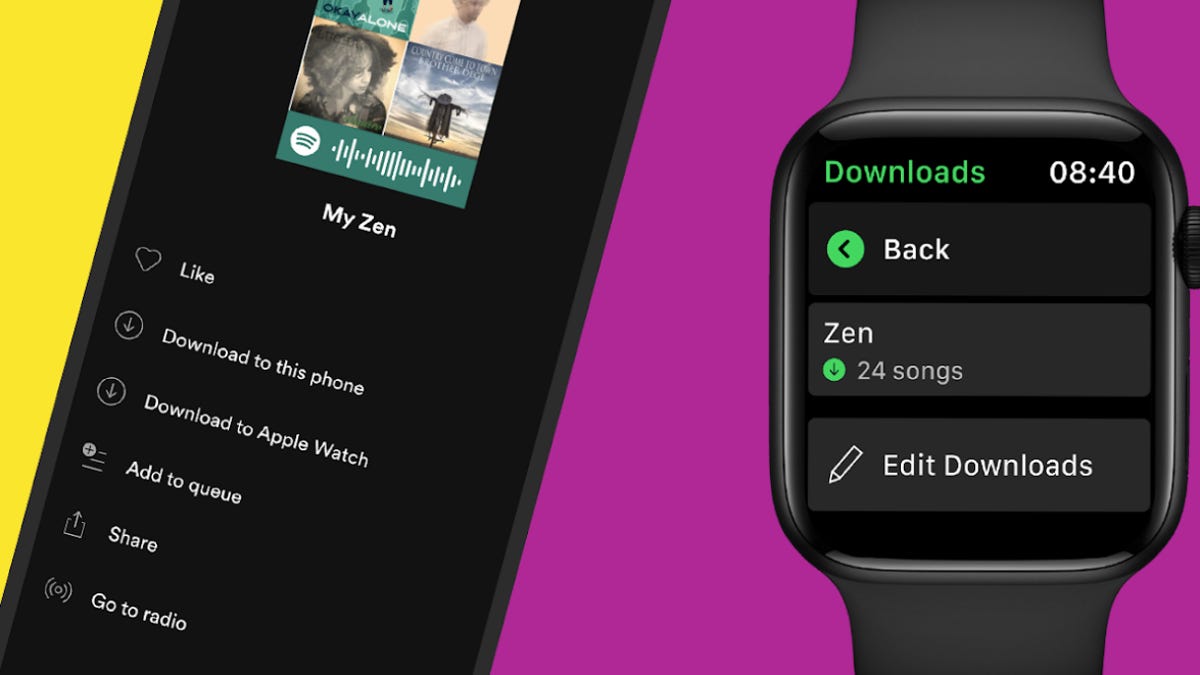 Spotify on Apple Watch