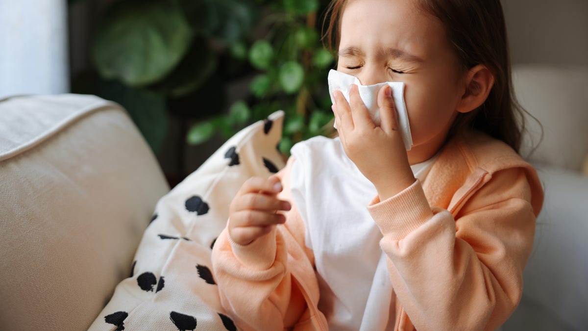 A small child with long light brown hair, a white tee and a light orange hoodie blowing their nose with a white tissue on a beige couch.