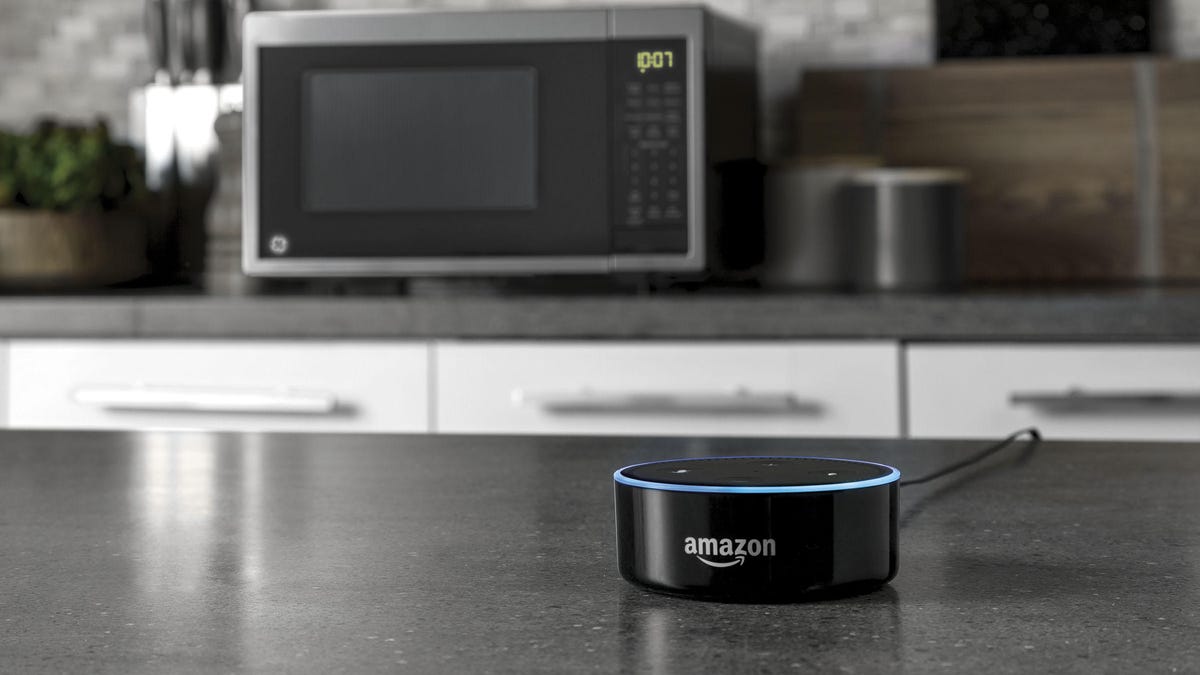 ge-scan-to-cook-with-echo-dot