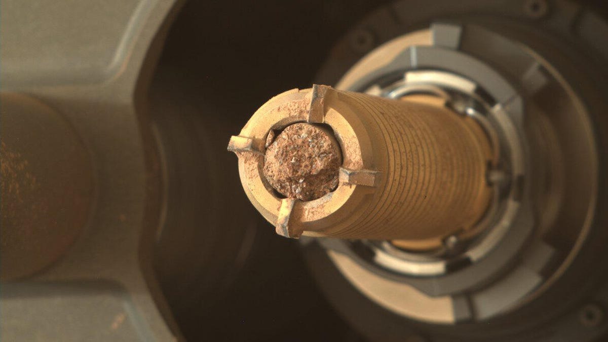 A rounded piece of rock sits within the coring device of the Perseverance rover, which is shaped like a long tube. Golds and browns are illuminated by the sun.