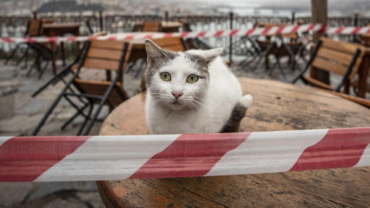 gettyimages-1208282752