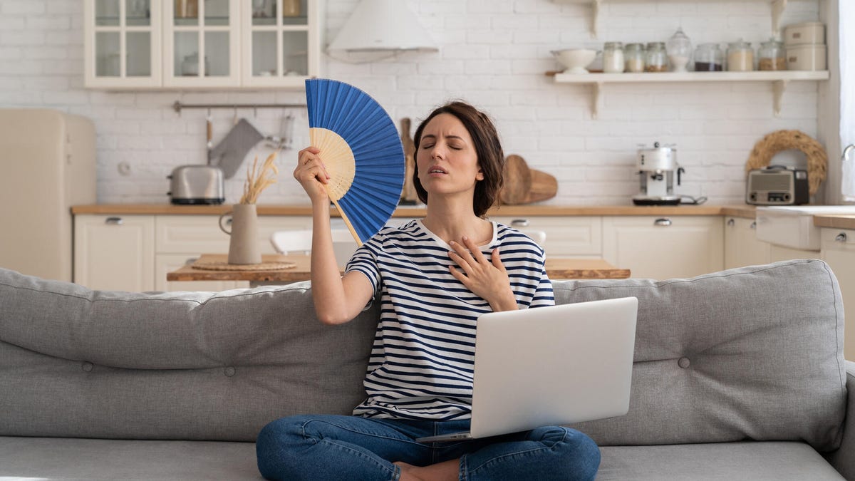A woman sitting in her living room on the couch with a fan and a laptop in her lap.