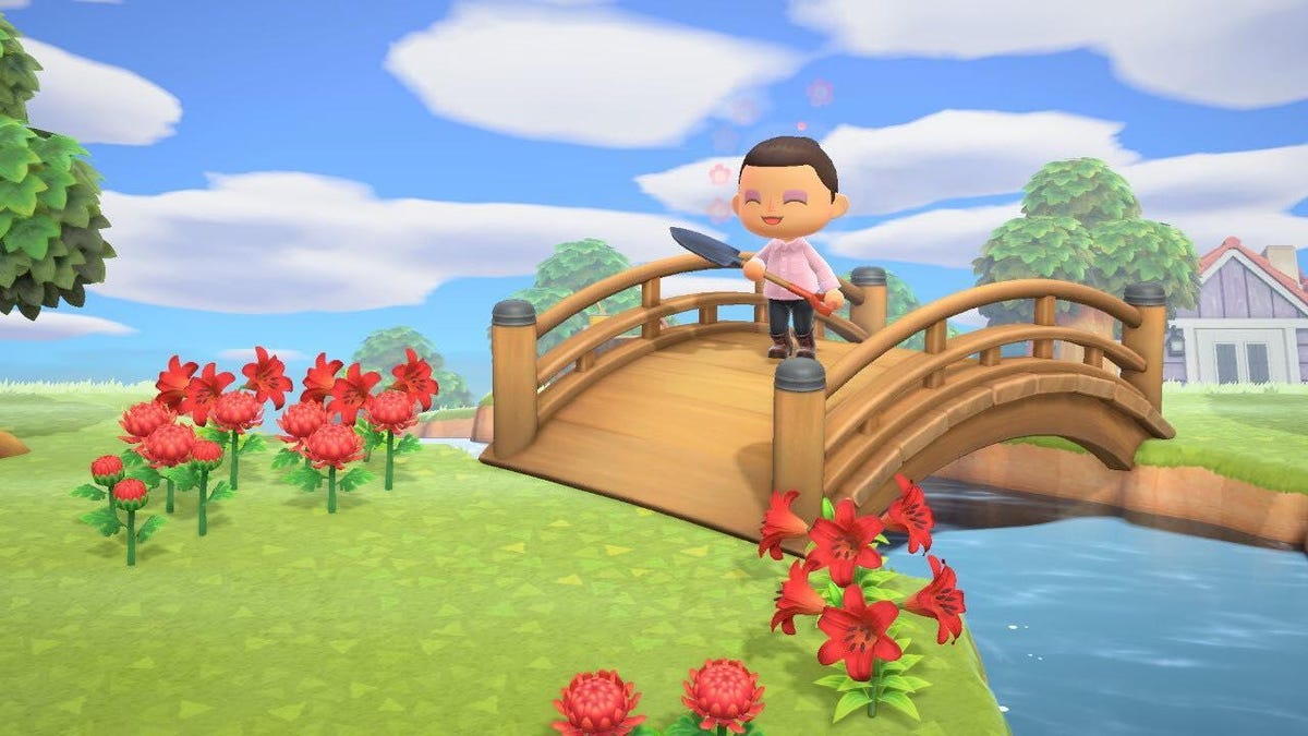 91755694-657160221744079-3307186682628931584-n