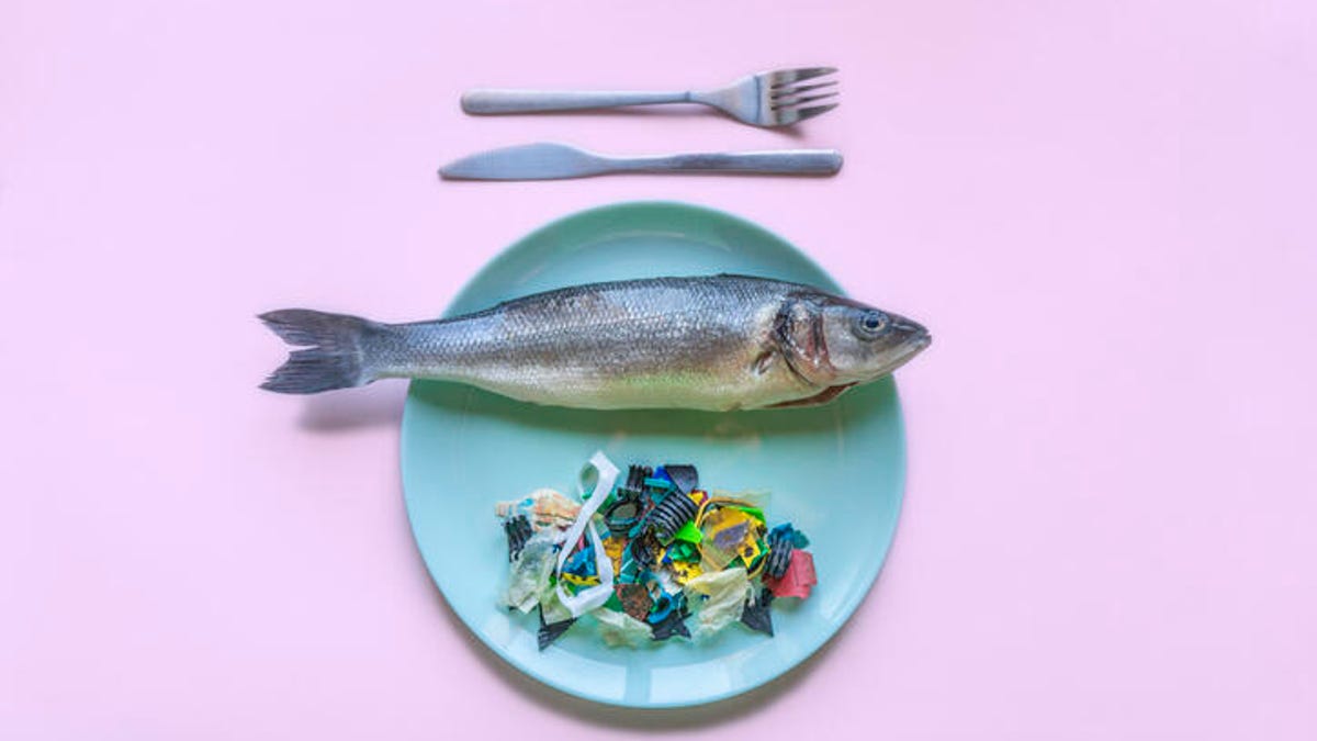 An uncooked fish on a plate with a pile of plastic beside it.