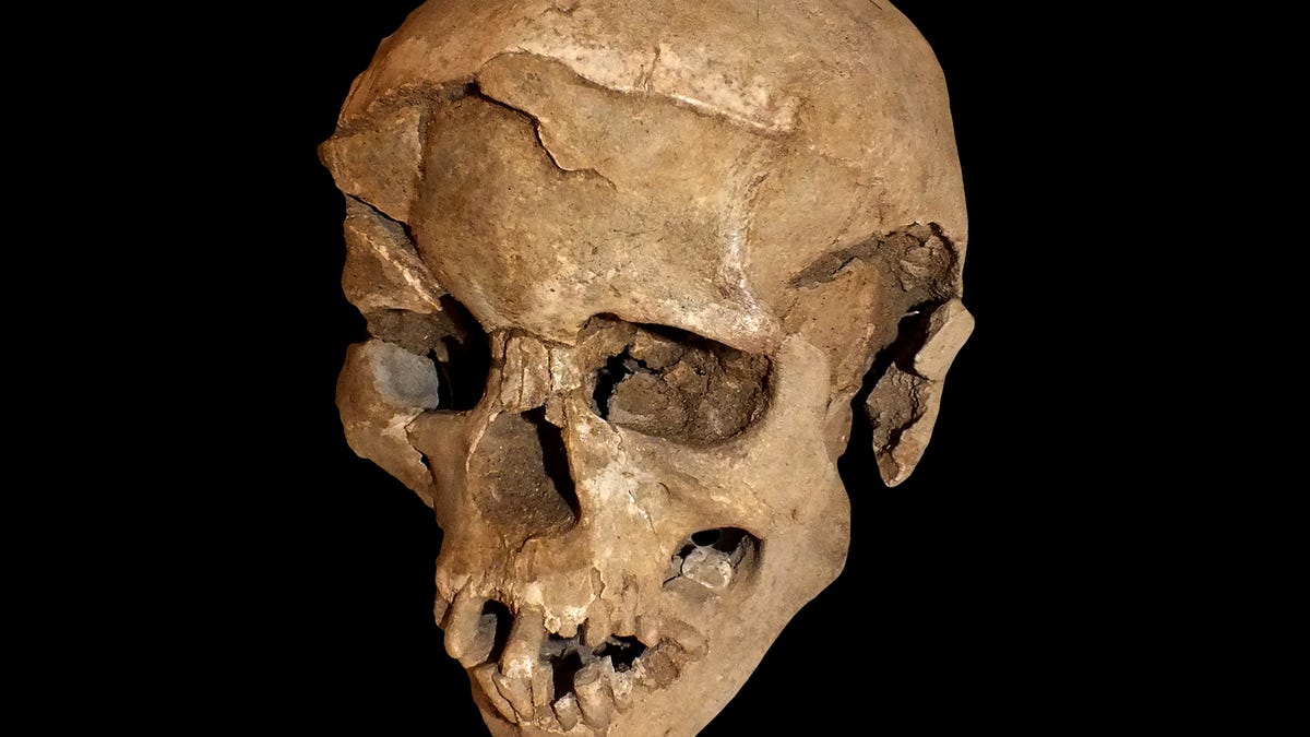 skull1.jpg