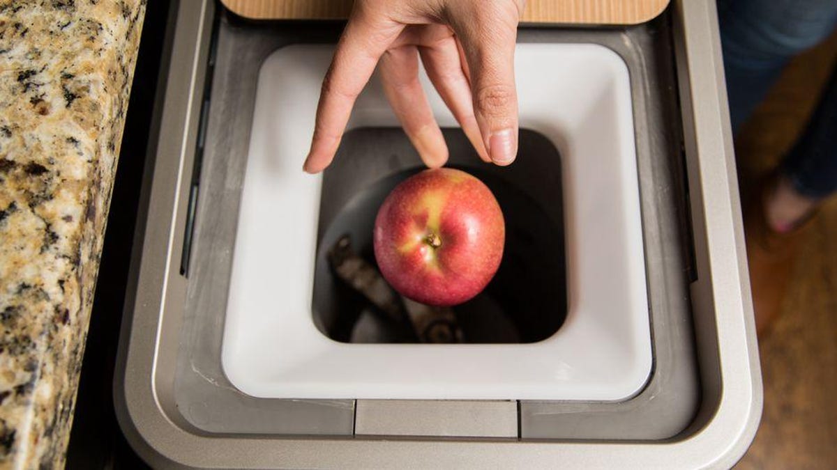 apple going into compost bin