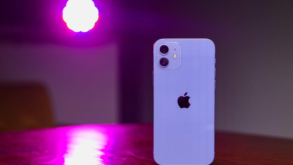 Purple iPhone 12