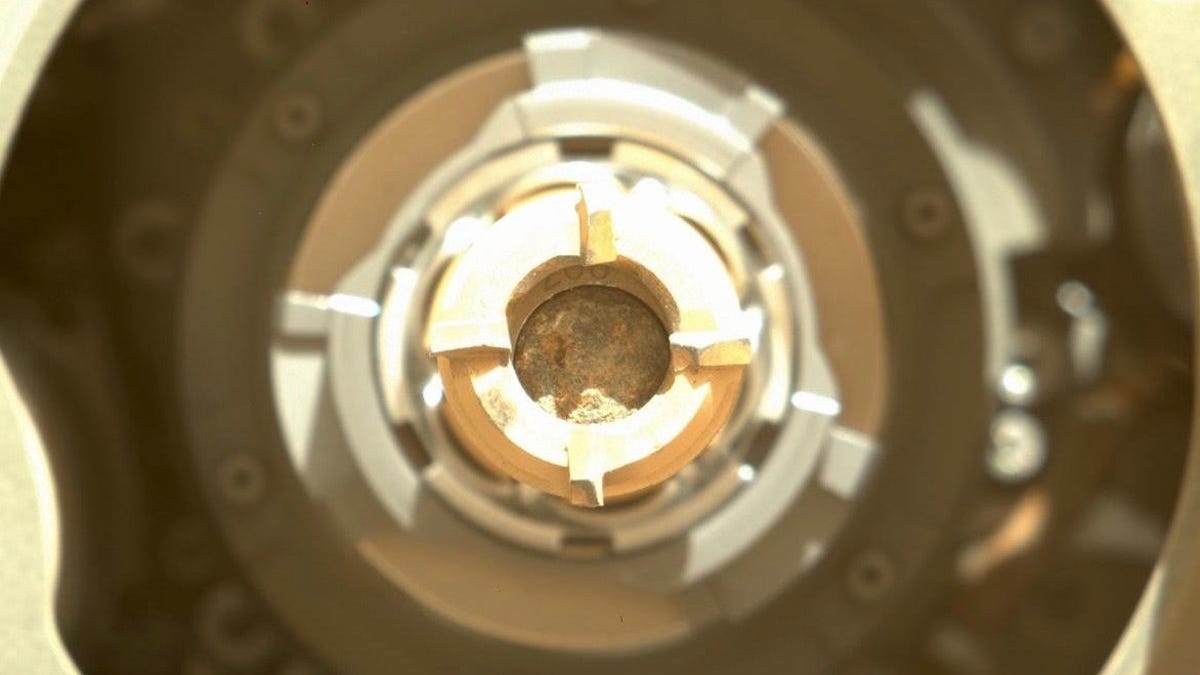 perseverancecoresample