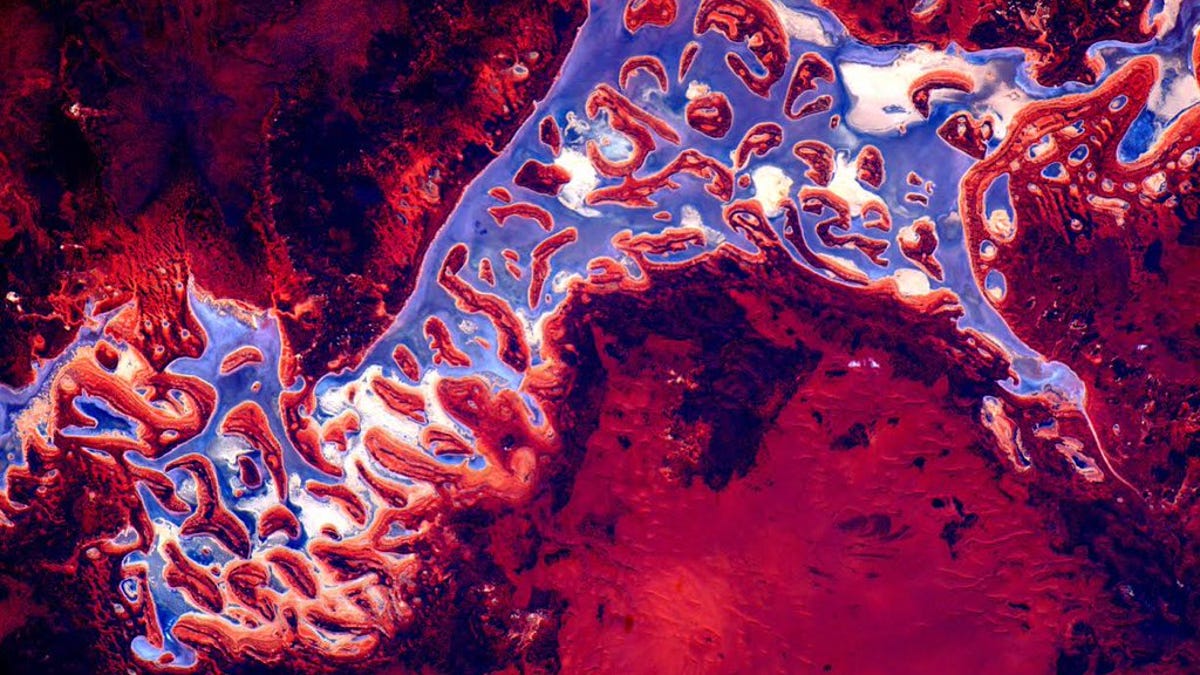 Red and purple Australia