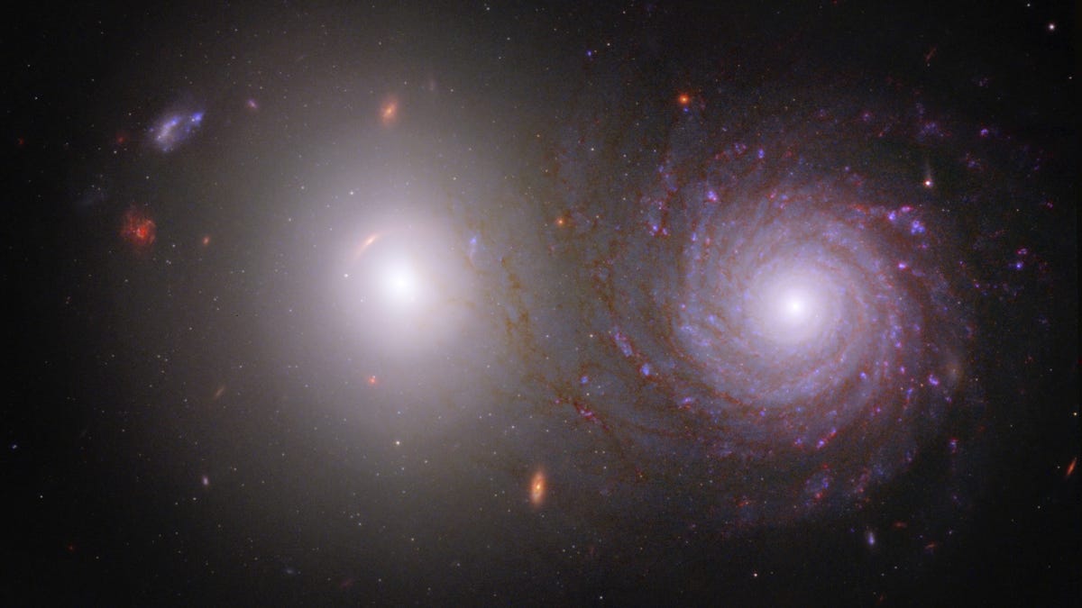 Two galaxies. The one on the left is a diffuse round glowing thing like a flashlight while the one the right has defined star-studded spiral arms.