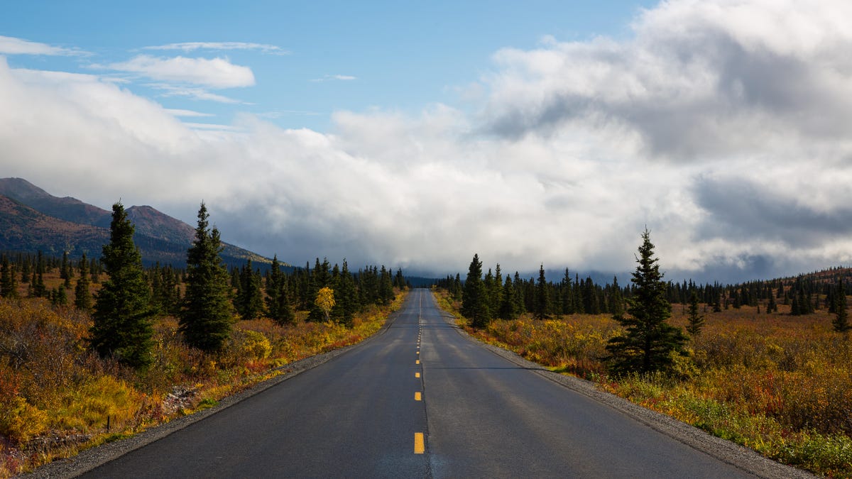 denali-wolf-megan-37