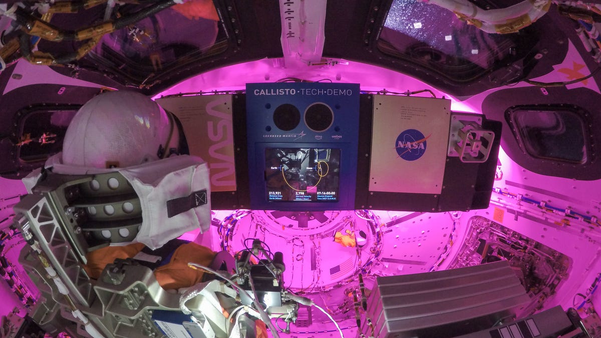 Interior of Orion capsule lit up in pink with manikin sitting to the side and the Callisto tech demo hardware installed in the center. Windows up above.
