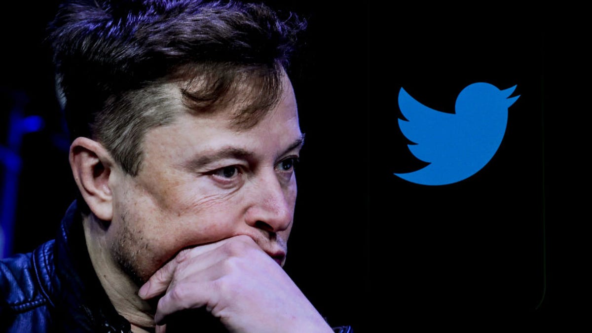 Elon Musk and the Twitter bird logo