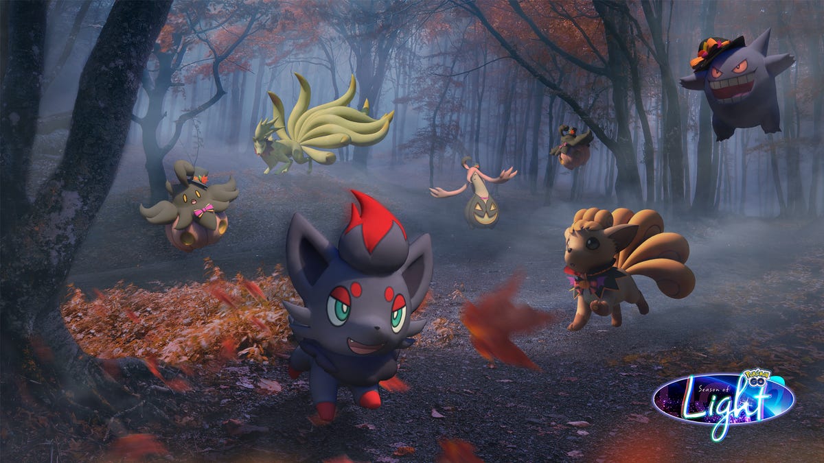 Zorua and other Pokemon in a foggy forest at night.