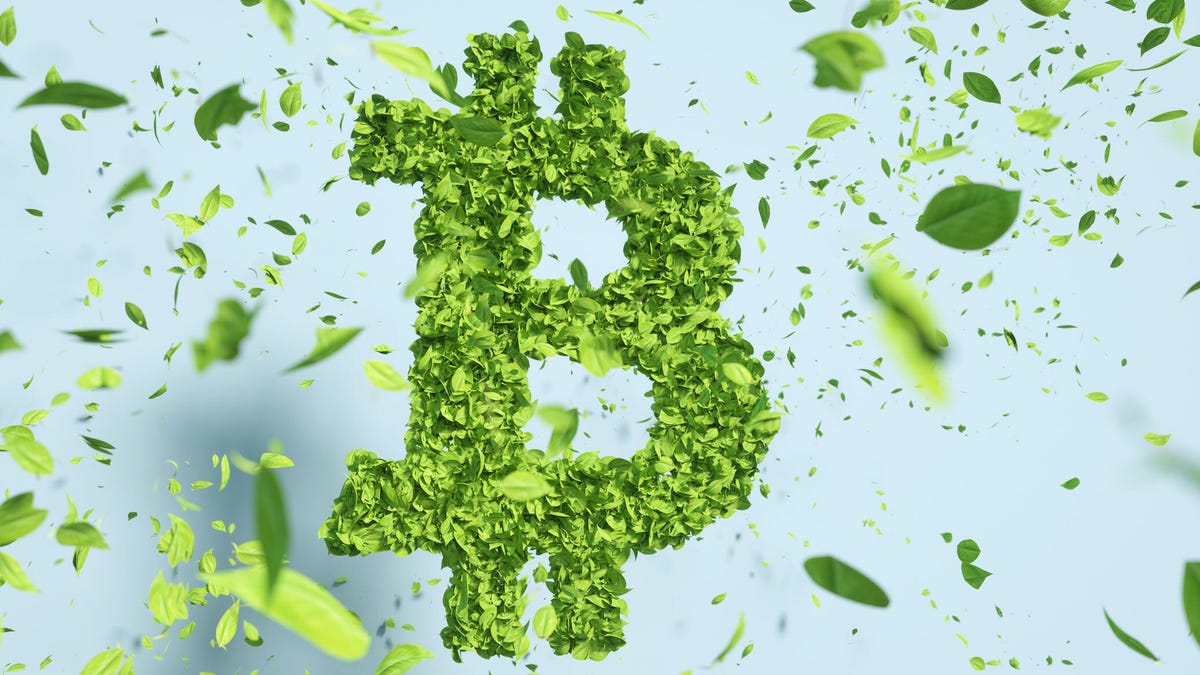 Digital generated image of green bitcoin sign made out of leaves against blue background.