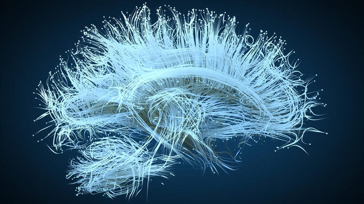 Illustration of the brain nerve tracts.