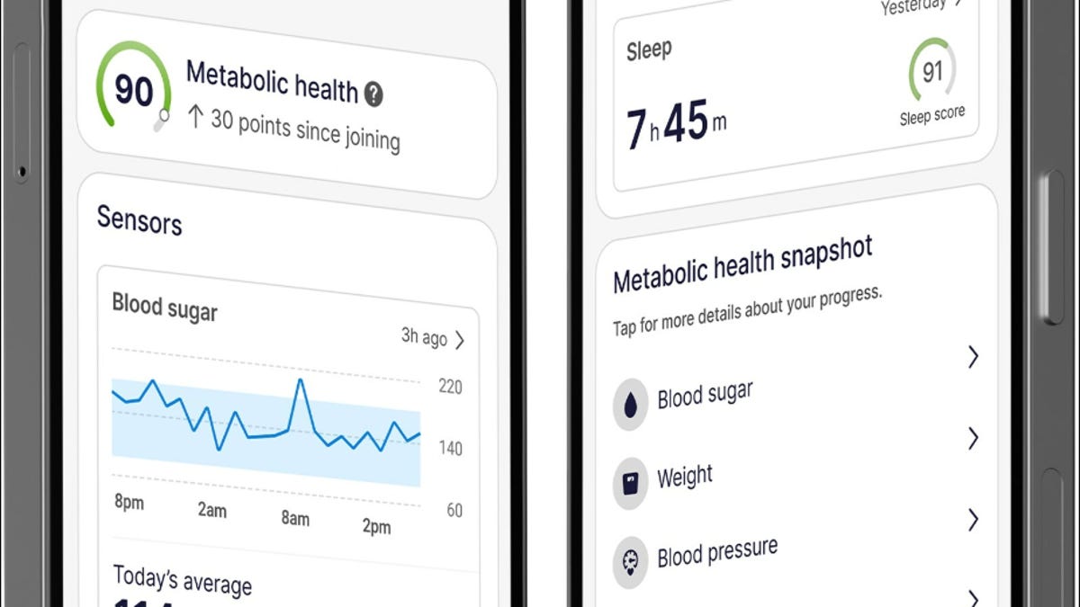 An example of the app interface you use to interact with your digital twin.