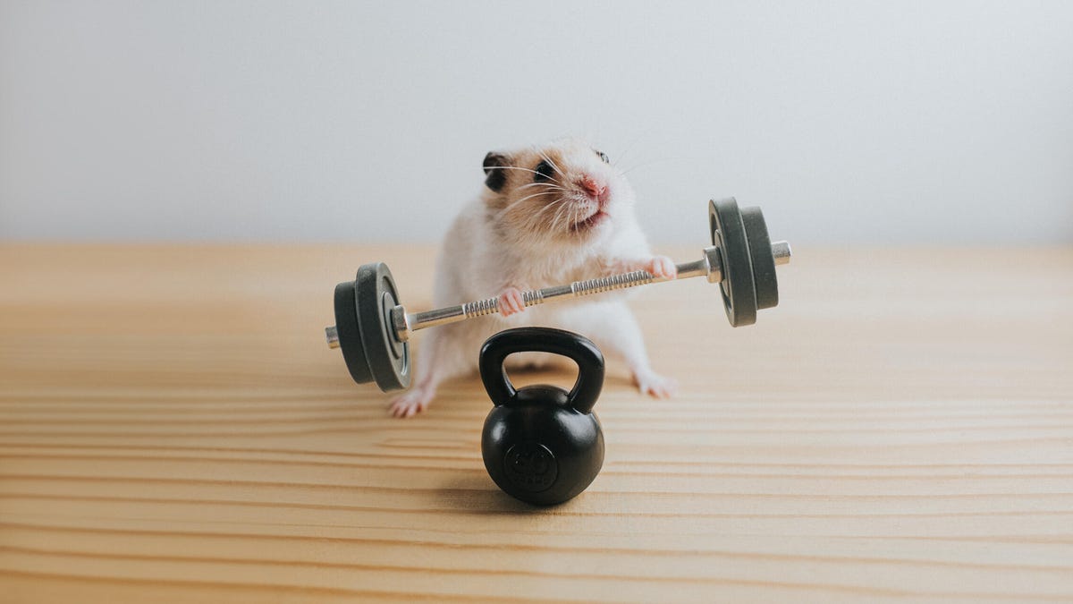 gettyimages-1198520481