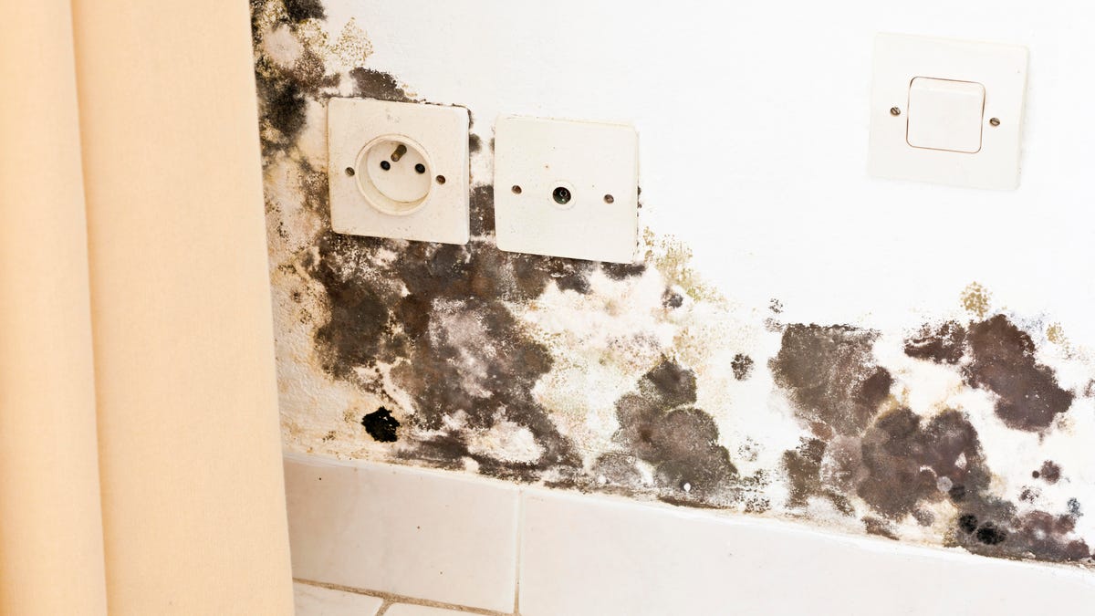 gettyimages-155076423