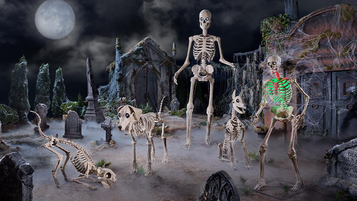 Spooky graveyard with animatronic human and animal skeletons