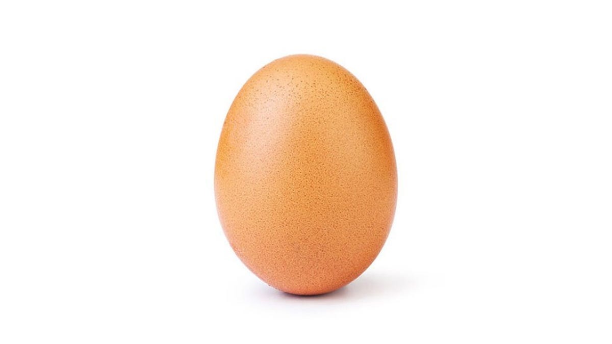 egg