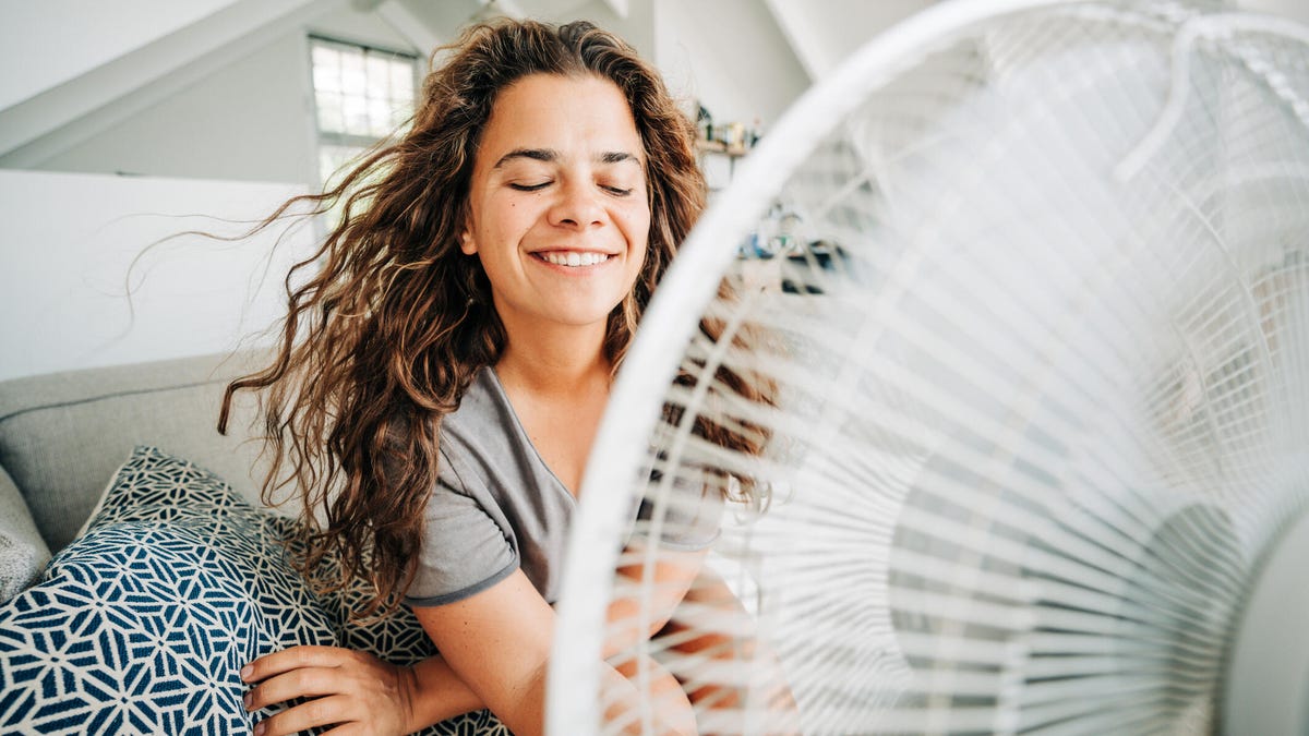A woman on a sofa smiles in front of a desk fan.