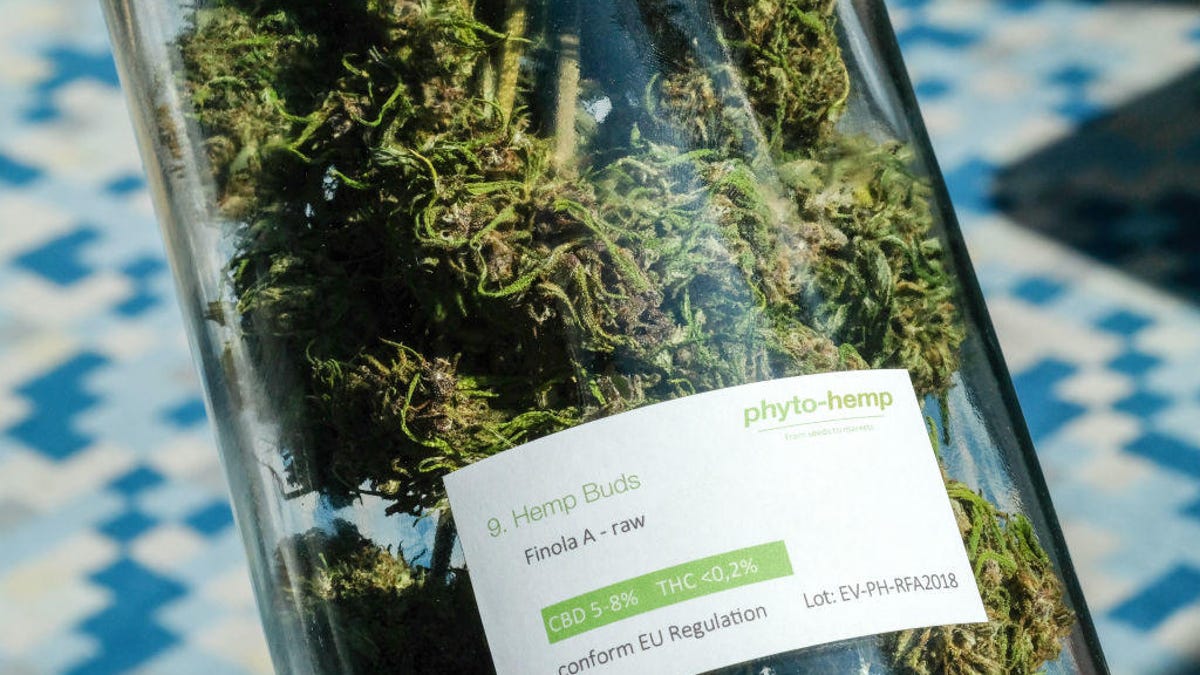 Cannabis Conference ICBC