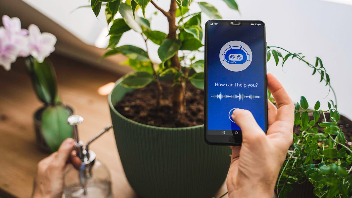 A person holds a phone with a chatbot while preparing to water a plant.
