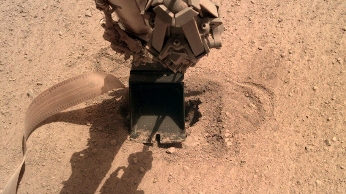 insightrawimagescoopmole1