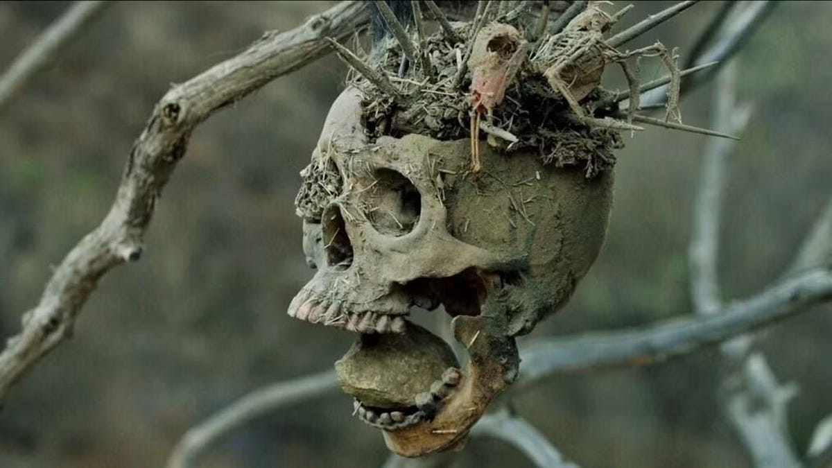 bone-tomahawk-skull