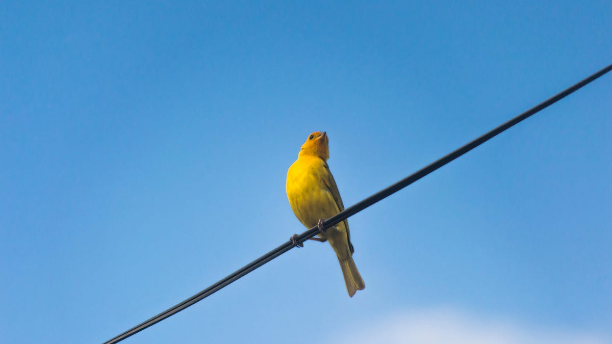 gettyimages-697624677