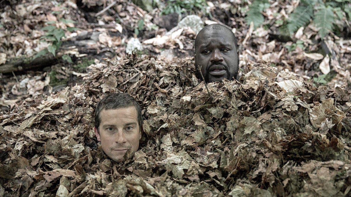 Bear Grylls and Shaquille O'Neal stick their heads out from a pile of leaves