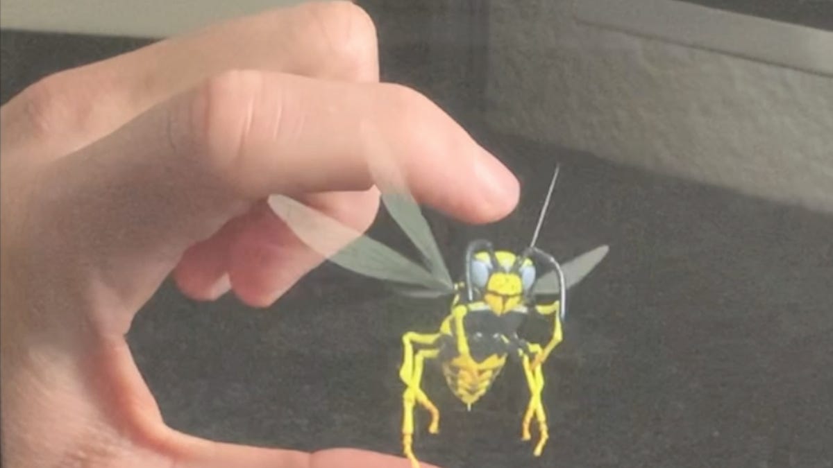 wasp-image.png