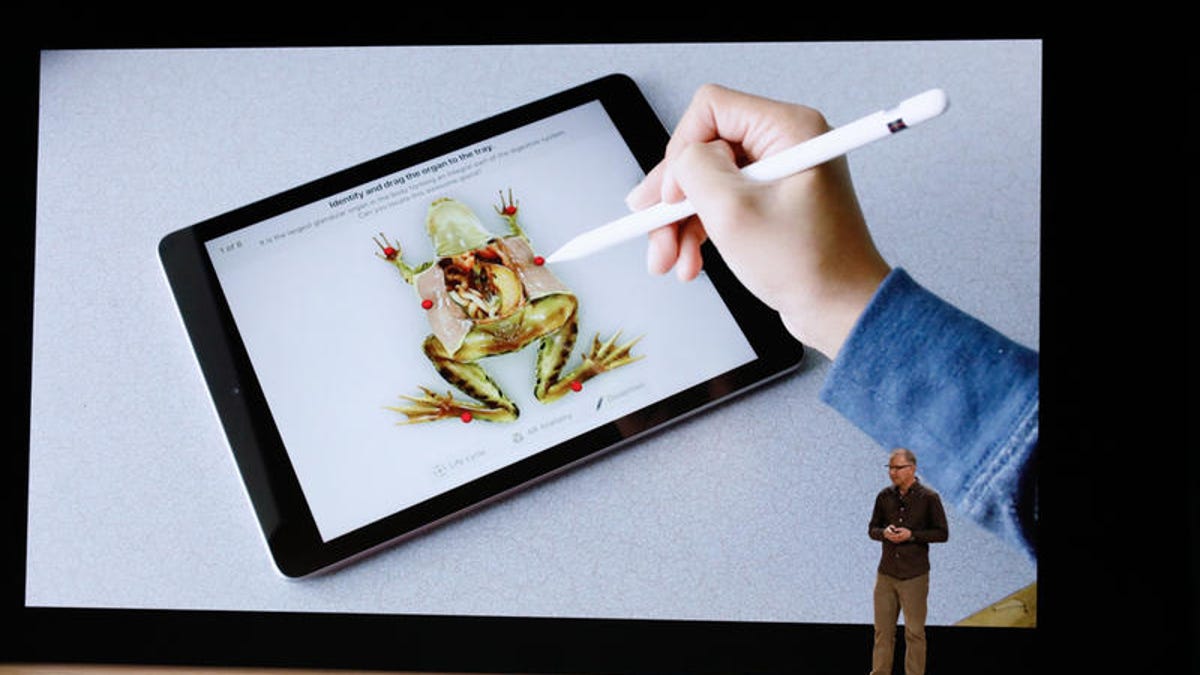 26db1de5-dacb-40f7-af86-48d75943e9c1-800