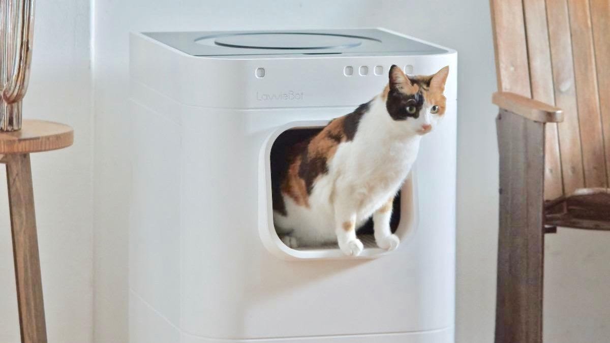 lavviebot-litter-box-7-1