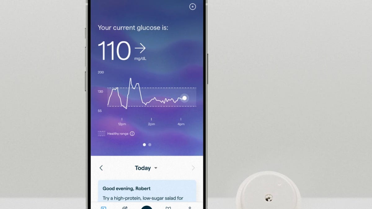 A screenshot of Lingo app
