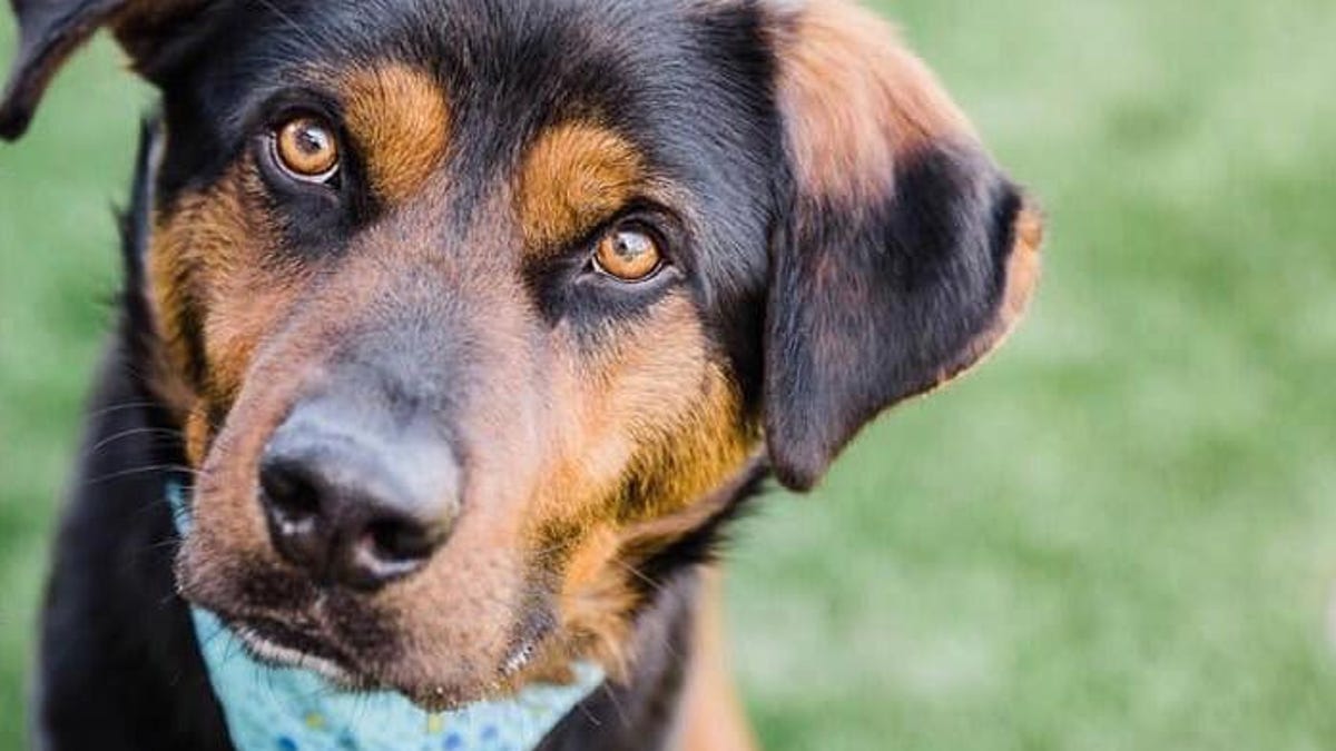 84445201-3172698982764196-4414734078251630592-n-1