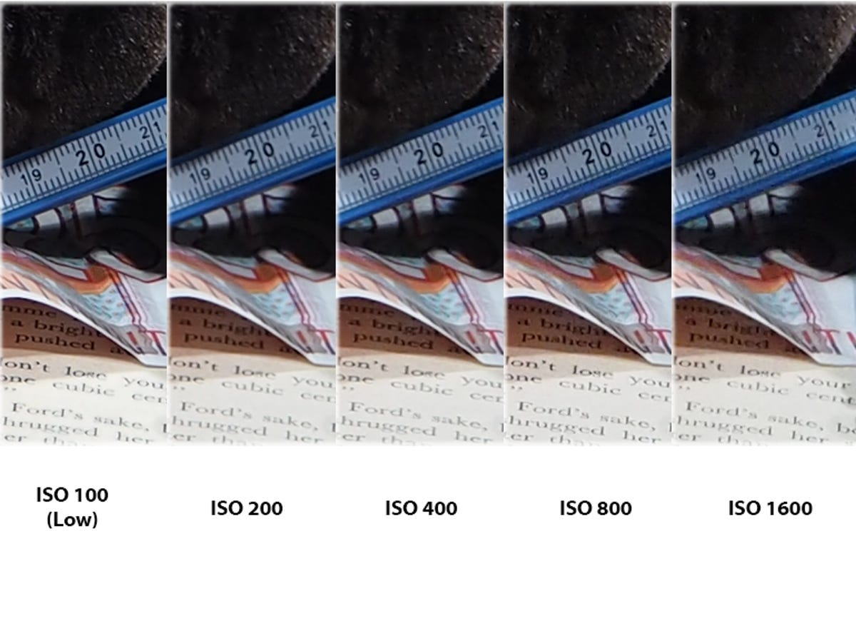 Olympus OM-D E-M10 photo samples