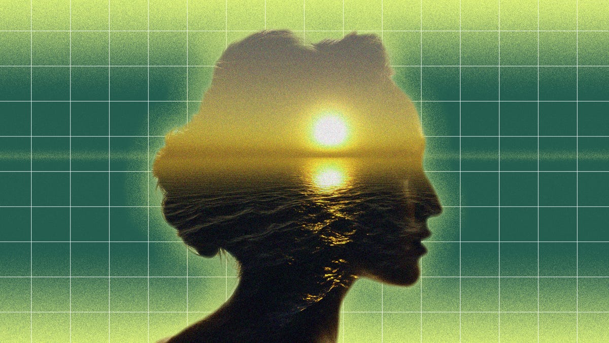 graphic of profile of a woman with a sunset and a grid background
