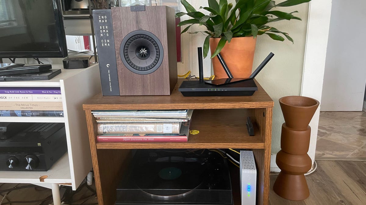 a black router on a side table in front of a potted plant and next to a speaker