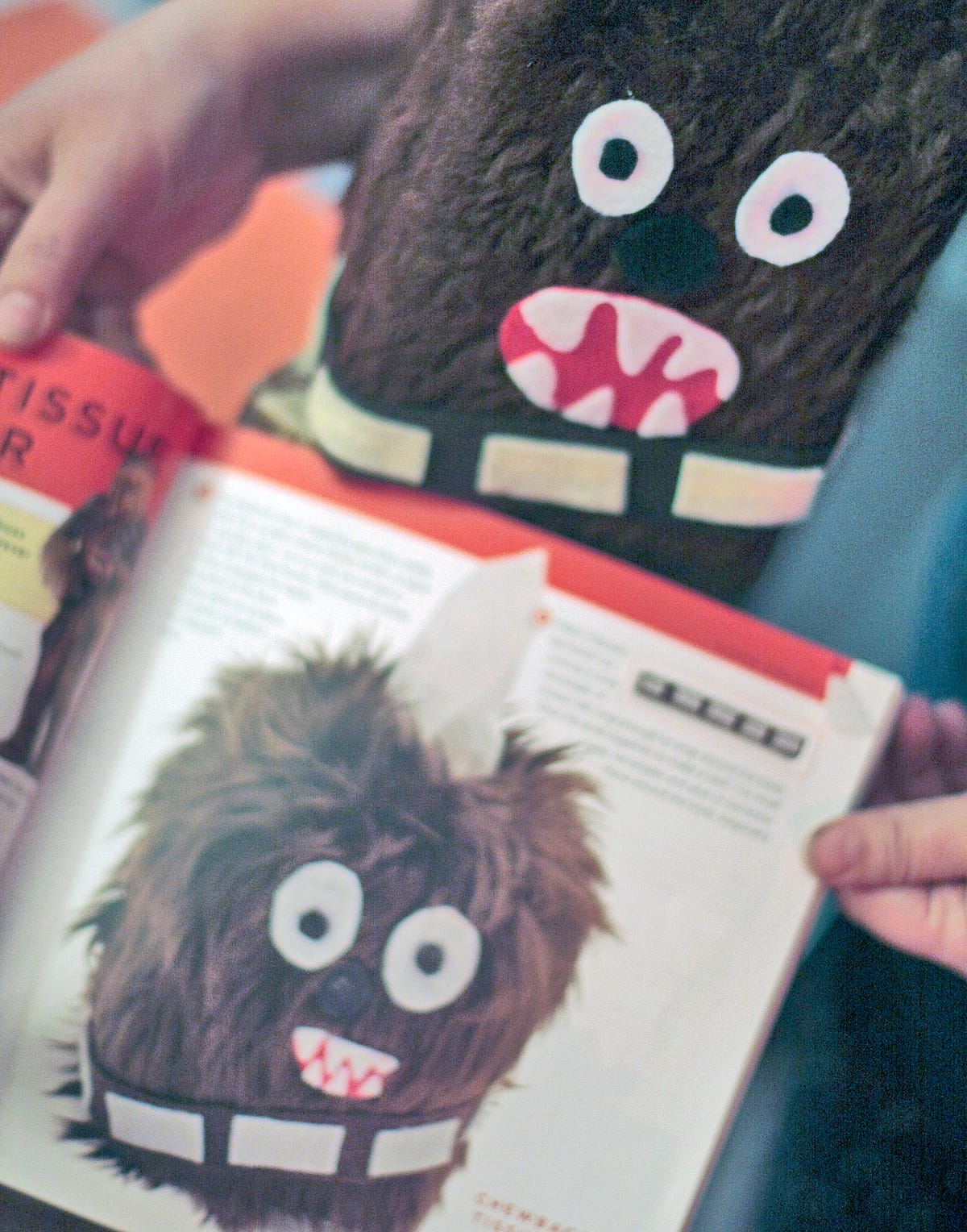 Chewbacca_tissue_box_1_book.jpg