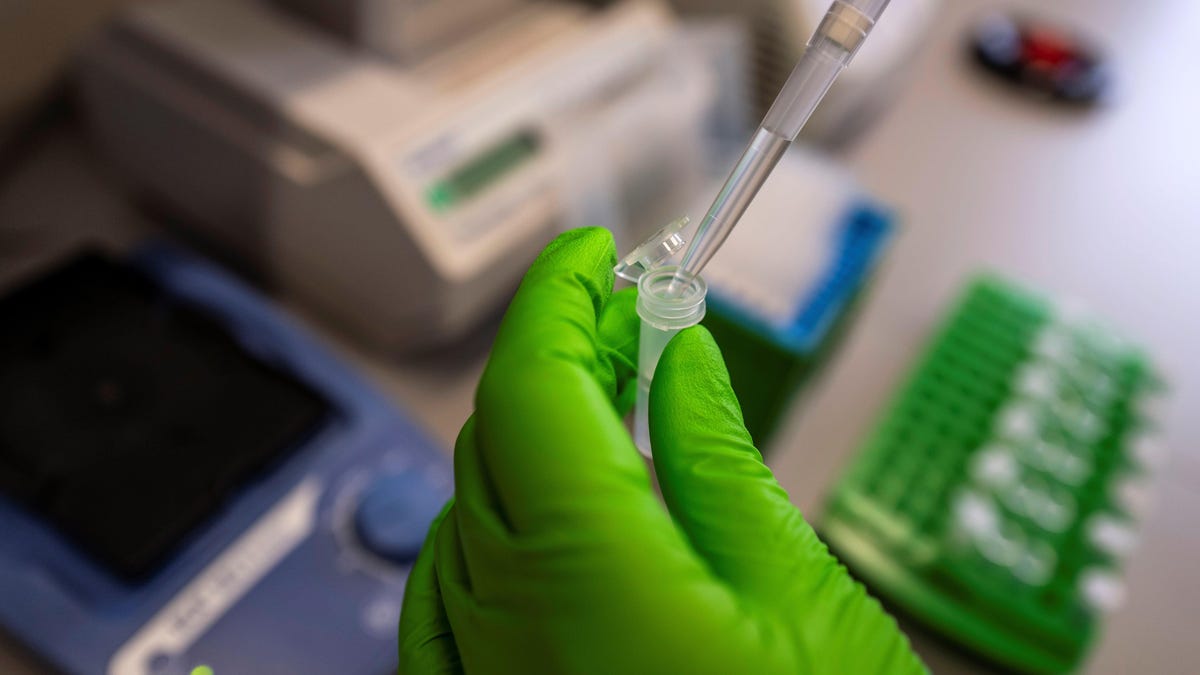 gettyimages-1160311628