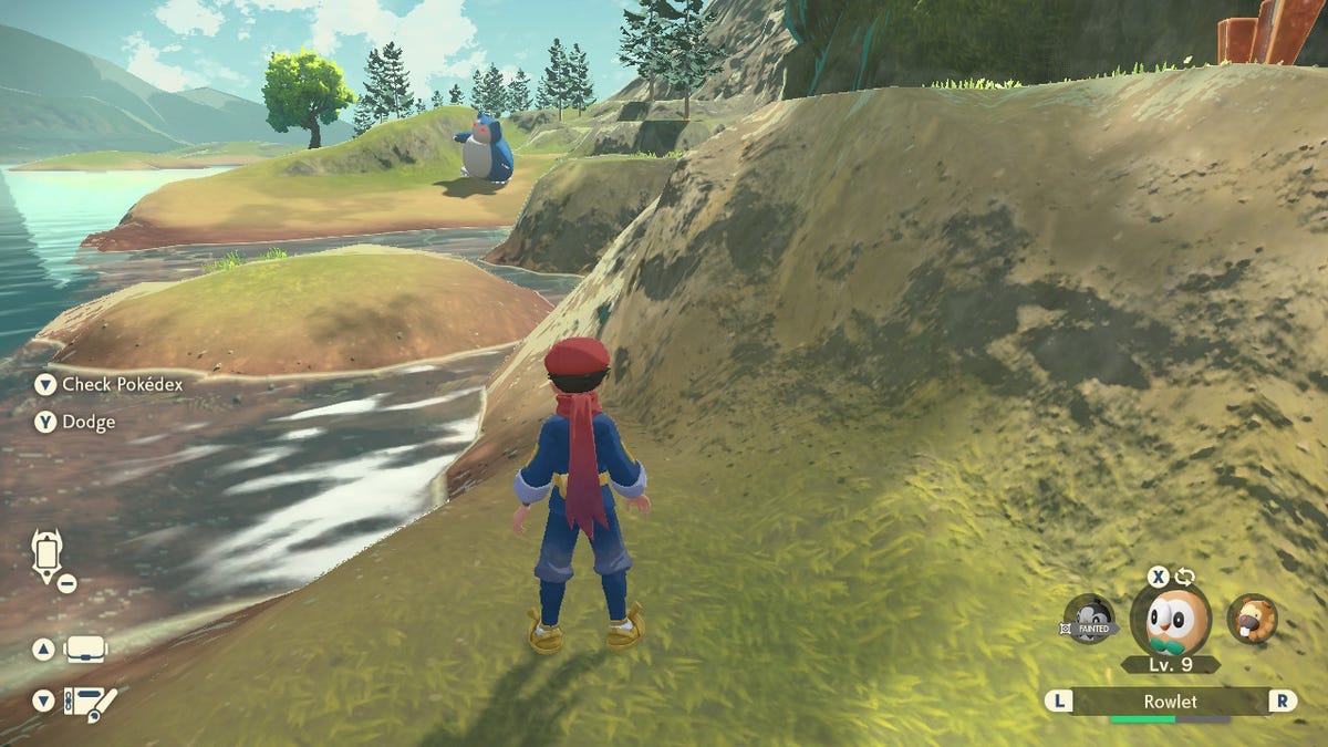 pokemon-arceus-field